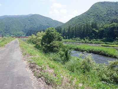 zLw摜