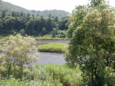 zLw摜