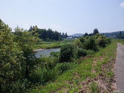 zLw摜