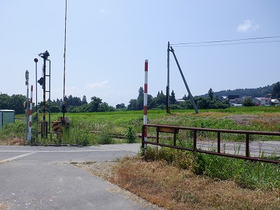 zLw摜