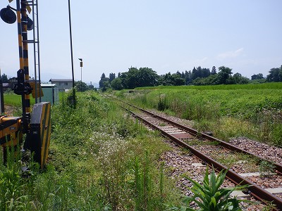 zLw摜