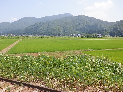 zLw摜
