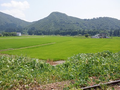 zLw摜