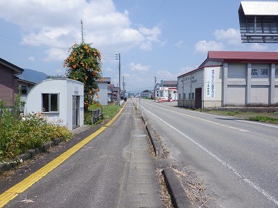 zLw摜