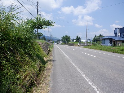 zLw摜