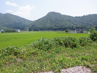 zLw摜