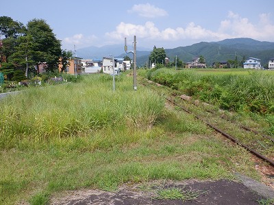 z{w摜