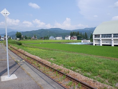 z{w摜