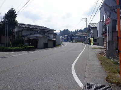 z{w摜