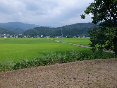 z{w摜