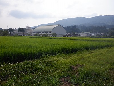 z{w摜