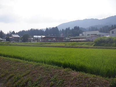 z{w摜