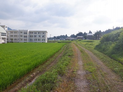 z{w摜
