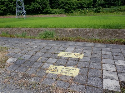 w摜