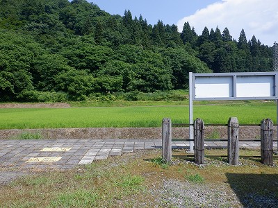 w摜
