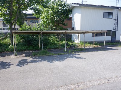 w摜