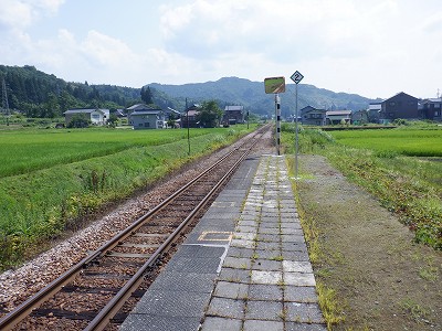 w摜