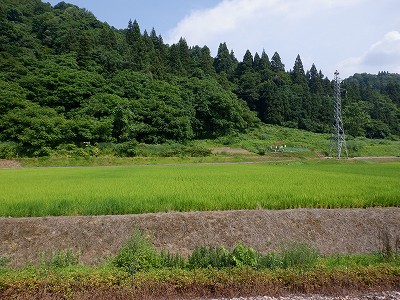 w摜