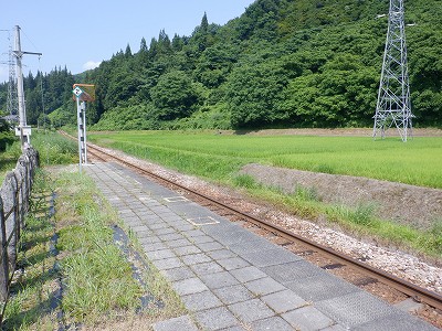 w摜