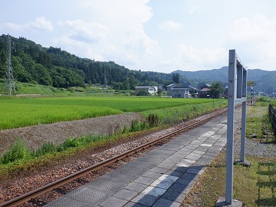 w摜