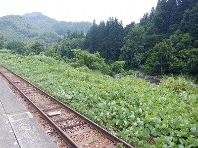唒w摜