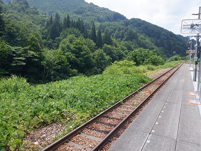 唒w摜