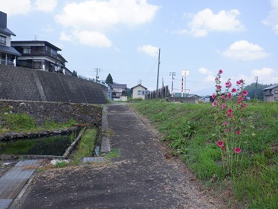 cw摜