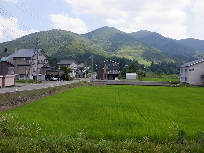 cw摜