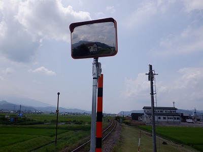 M_w摜