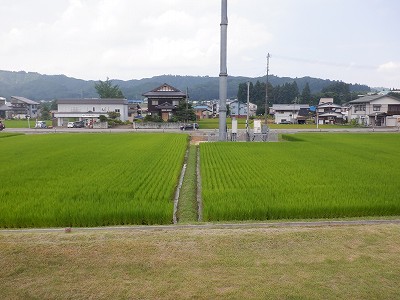 M_w摜
