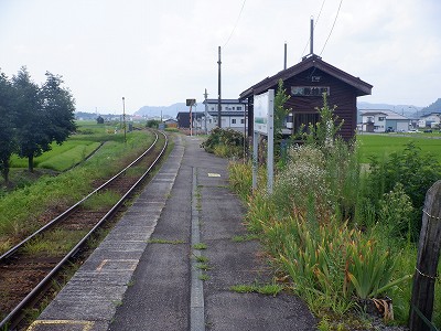 M_w摜