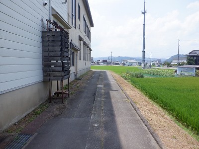 M_w摜
