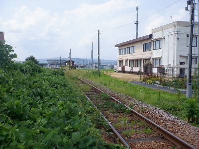 M_w摜