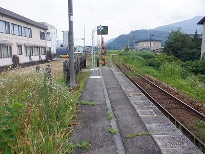 M_w摜