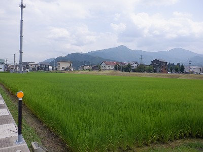M_w摜