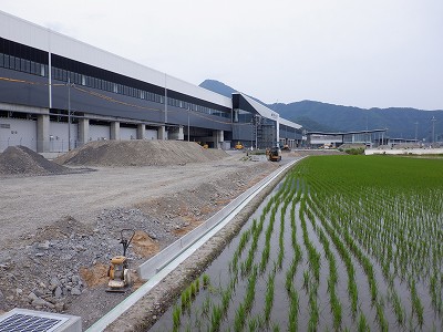 zOӉw摜