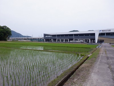 zOӉw摜