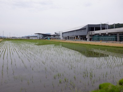 zOӉw摜