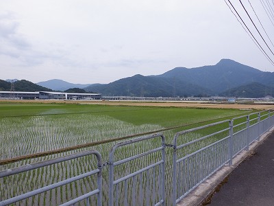 zOӉw摜