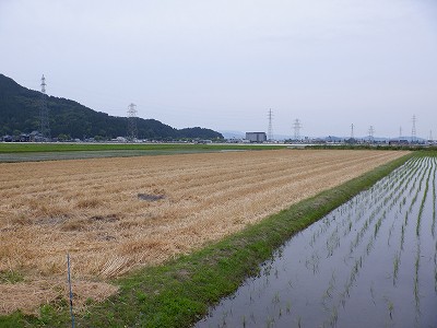 zOӉw摜