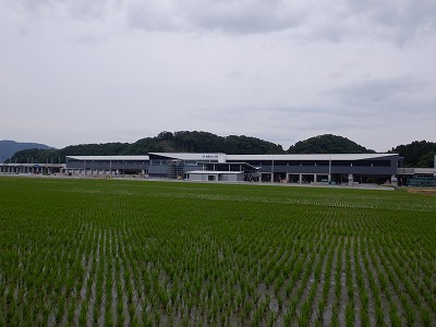 zOӉw摜