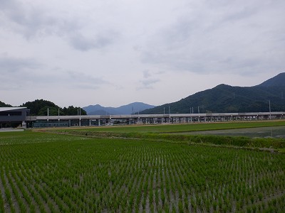 zOӉw摜