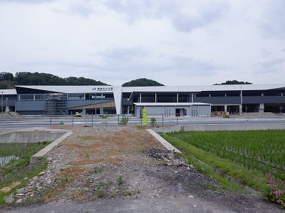 zOӉw摜