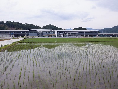 zOӉw摜