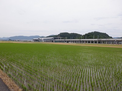 zOӉw摜