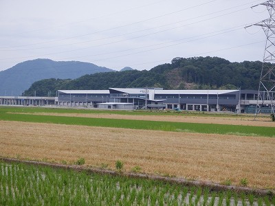 zOӉw摜