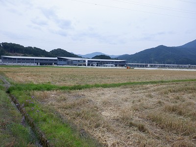zOӉw摜