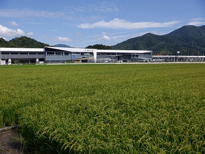 zOӉw摜