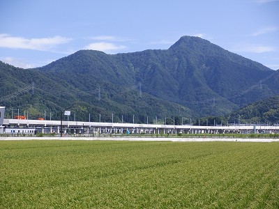 zOӉw摜