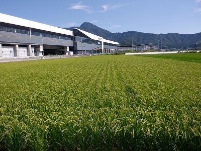 zOӉw摜